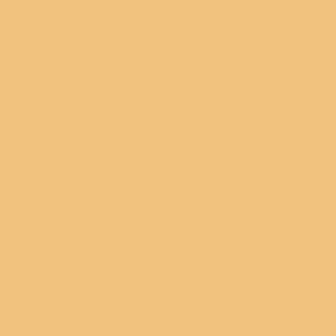 Fondation SPF50